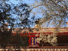 -故宫博物院(故宫)