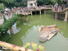 -南昌动物园