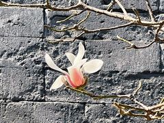 -东华门大街小区