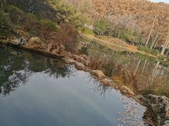 -河南省黄河迎宾馆