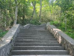 -上海佘山国家森林公园西佘山园