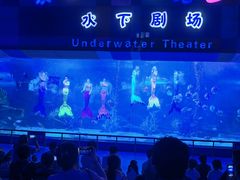 -泉城欧乐堡海洋极地世界