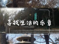 -玲珑塔公园