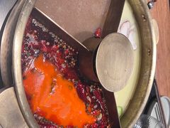 -巴奴毛肚火锅(大剧院店)