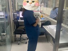 -申普宠物医院·心脏介入·心血管微创(总院)