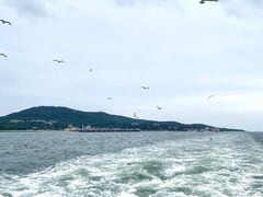 -刘公岛景区