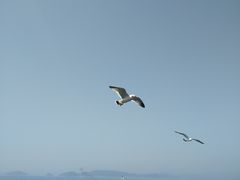 -仁川港国际客运码头