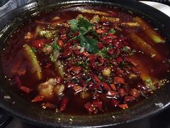 -茅庐毛血旺(烟台大悦城店)