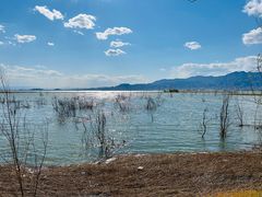 -野鸭湖国家湿地公园