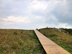 景点-白草畔自然风景区