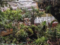-正佳雨林生态植物园