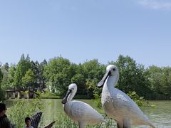 -苏州太湖国家湿地公园
