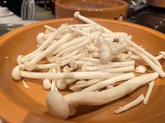 -龍歌自助小火锅(市北和达中心城店)