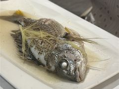 -花城苑广府菜(侨鑫店)
