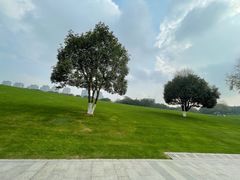 -重庆中央公园(渝北区)