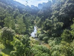 -云溪植物园