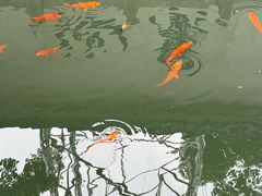 -墨池公园