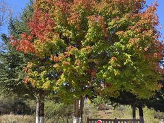 -长春世界雕塑园冰雪艺术天地