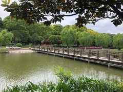 -上海鲜花港