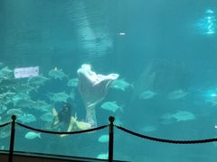 -福州罗源湾海洋世界旅游区