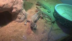 -酷嗒动物文化乐园(cutezoo西溪乐天城店)