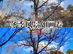 -长春市南湖公园