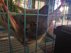 -CXFIT 陈徐健身工作室(凯旋店)