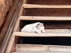 -初溪土楼群