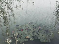 -长圻码头