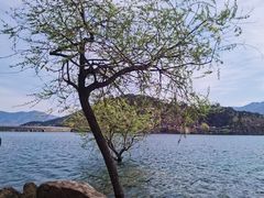 -黄巢水库