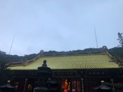-普陀山雷迪森庄园