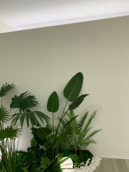 -HEYAN荷妍专业脱毛连锁机构