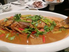 -舜和枣庄大酒店