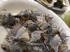 刺螺-明记海鲜美食老字号(明记总店)