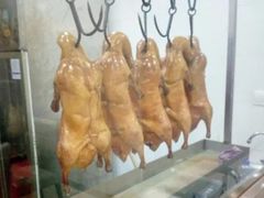 -清真•蜀风园(丁字沽总店)