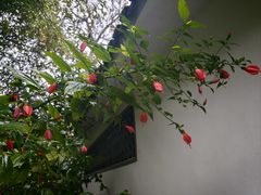 -柳侯公园