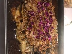 -鱼酷活鱼烤鱼(沈阳大悦城店)