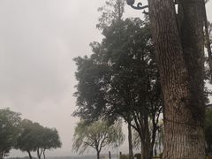 -杭州西湖柳莺里酒店