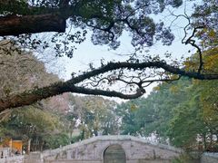 -普陀山风景名胜区-法雨禅寺