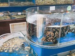 -张树军海鲜(王府壹号店)