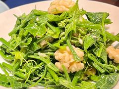 巧拌丝瓜尖-湖畔鲁菜·二十年老字号餐厅(大明湖店)