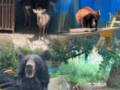 -栾川竹海野生动物园