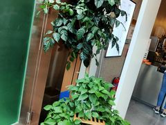 -凤栖梧(兰州中心店)