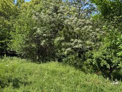 -昆山城市生态森林公园