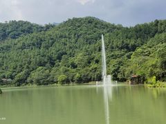 -广州白江湖森林公园