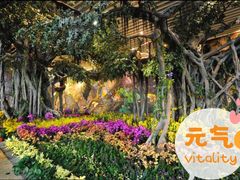 -花之城