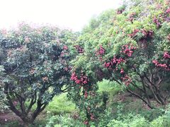 景点-那琴半岛地质海洋公园