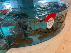 -香融府·烤鸭·家常菜(马家堡路店)