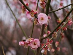 -蜀冈西峰生态公园