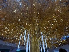 -友谊阳光城(金贸街道店)